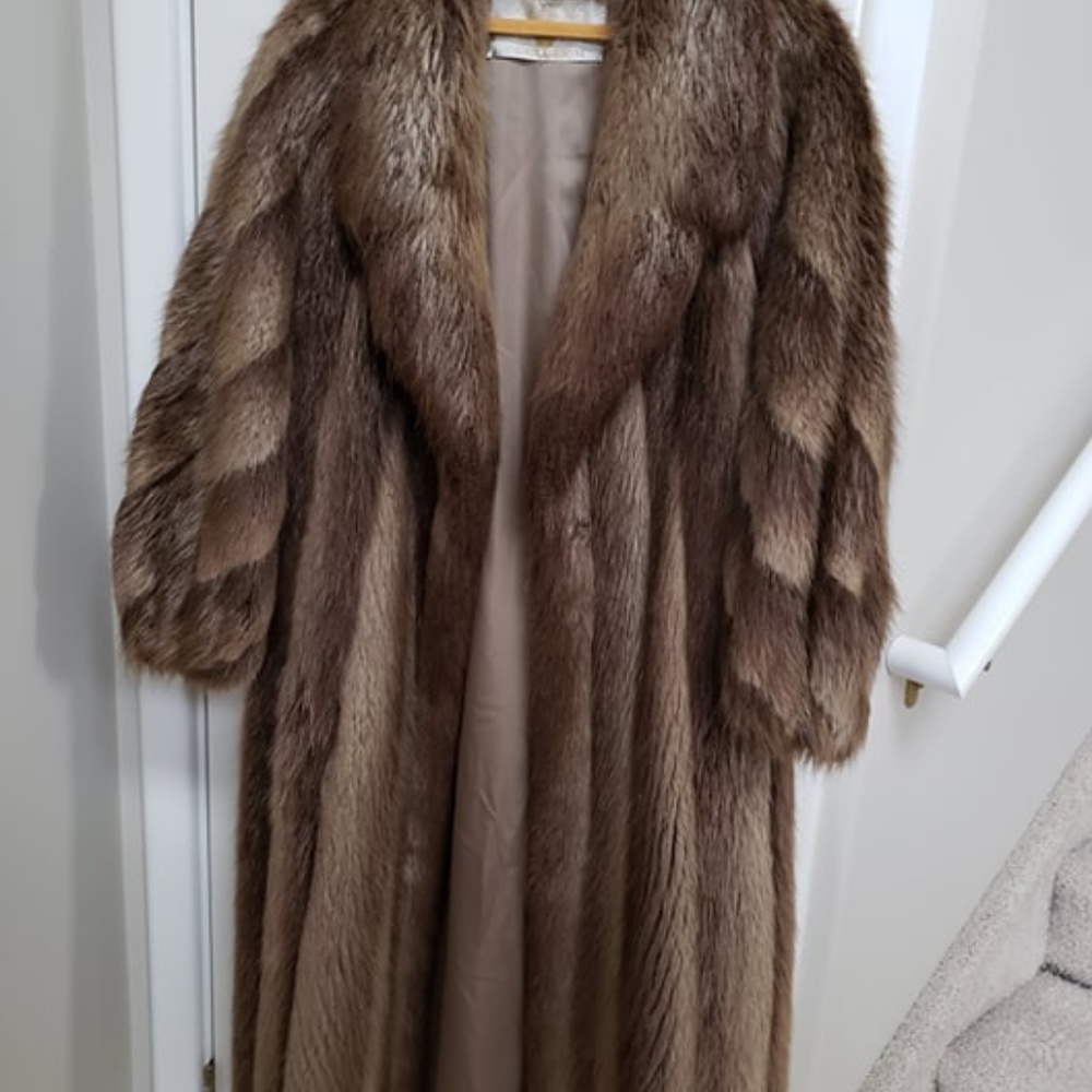 Beaver